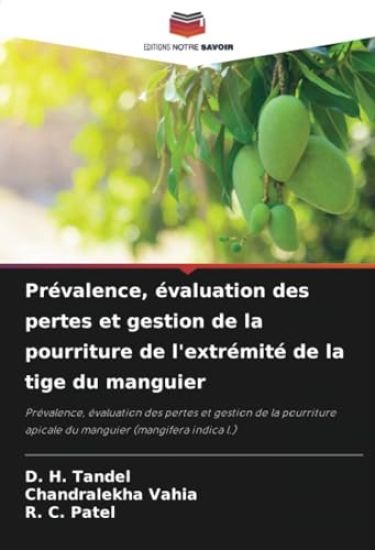 Prévalence, évaluation des pertes et gestion de la pourriture de l'extrémité de la tige du manguier