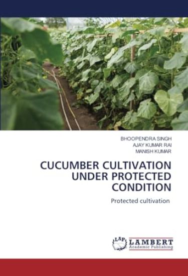 Cucumber Cultivation Under Protected Condition