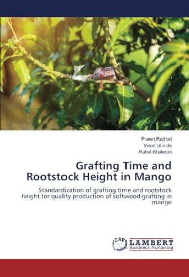 Grafting Time and Rootstock Height in Mango