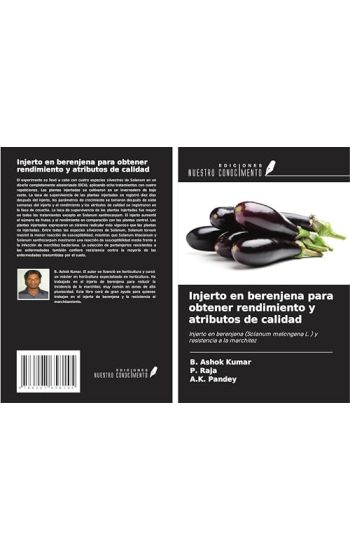 Injerto en berenjena para obtener rendimiento y atributos de calidad