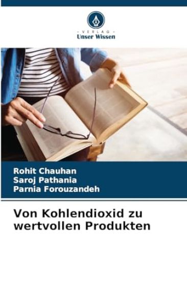 Von Kohlendioxid zu wertvollen Produkten