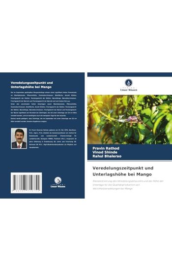 Veredelungszeitpunkt und Unterlagshöhe bei Mango