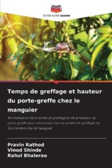 Temps de greffage et hauteur du porte-greffe chez le manguier