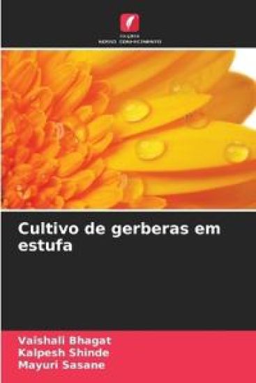 Cultivo de gerberas em estufa