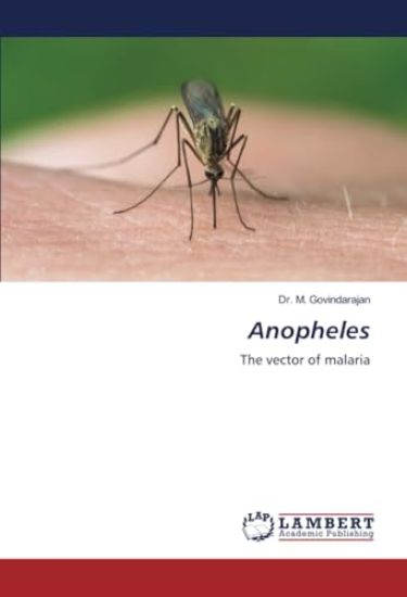 Anopheles
