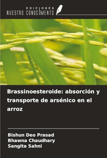Brassinoesteroide: absorción y transporte de arsénico en el arroz