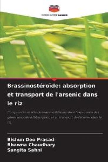 Brassinostéroïde
