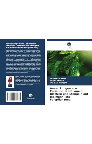 Auswirkungen von Coriandrum sativum L. Blättern und Stängeln auf die männliche Fortpflanzung