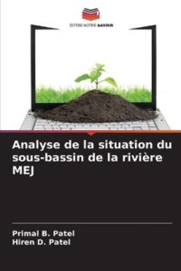 Analyse de la situation du sous-bassin de la rivière MEJ