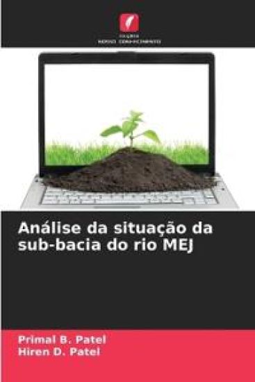 Análise da situação da sub-bacia do rio MEJ