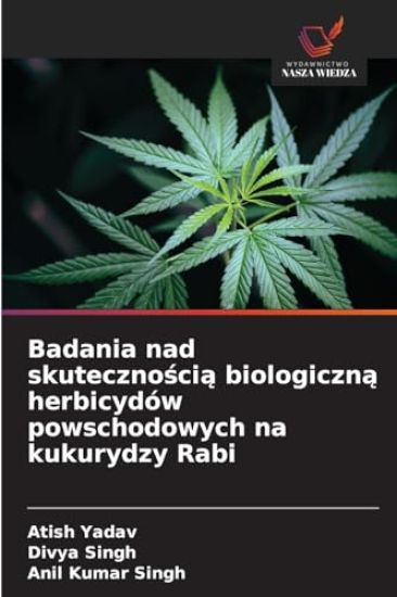 Badania nad skutecznoscia biologiczna herbicydów powschodowych na kukurydzy Rabi