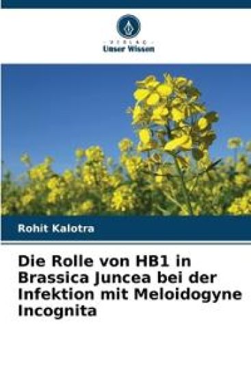 Die Rolle von HB1 in Brassica Juncea bei der Infektion mit Meloidogyne Incognita