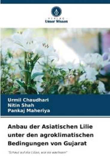 Anbau der Asiatischen Lilie unter den agroklimatischen Bedingungen von Gujarat