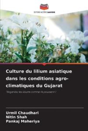 Culture du lilium asiatique dans les conditions agro-climatiques du Gujarat
