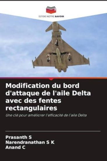 Modification du bord d'attaque de l'aile Delta avec des fentes rectangulaires