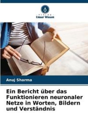 Ein Bericht über das Funktionieren neuronaler Netze in Worten, Bildern und Verständnis