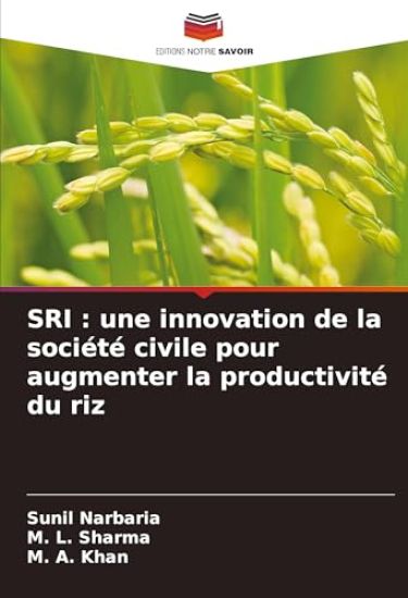SRI : une innovation de la société civile pour augmenter la productivité du riz