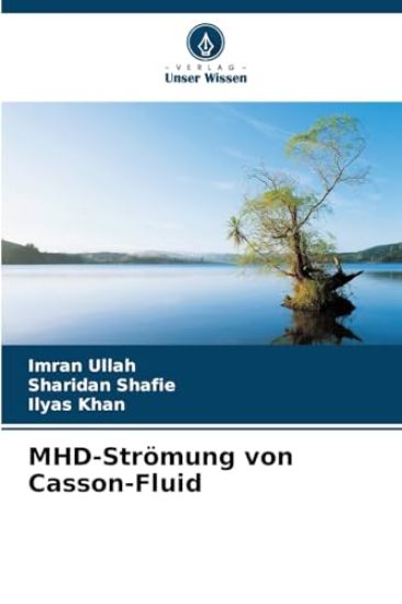 MHD-Strömung von Casson-Fluid
