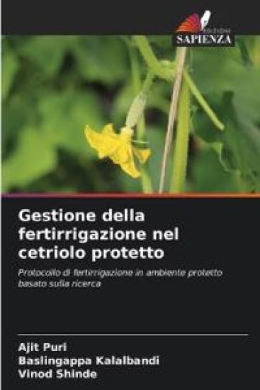 Gestione della fertirrigazione nel cetriolo protetto