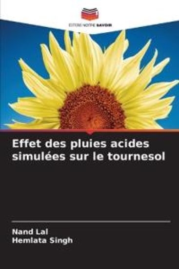 Effet des pluies acides simulées sur le tournesol
