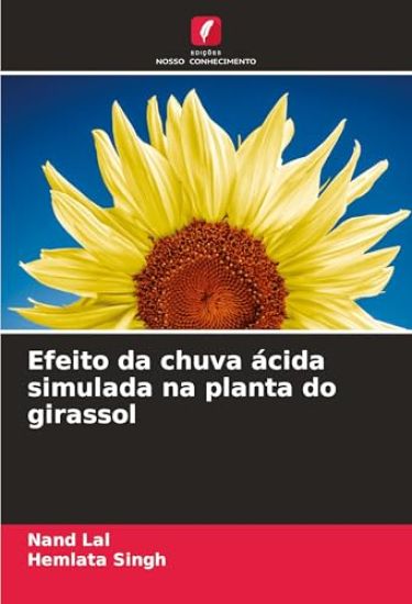 Efeito da chuva ácida simulada na planta do girassol