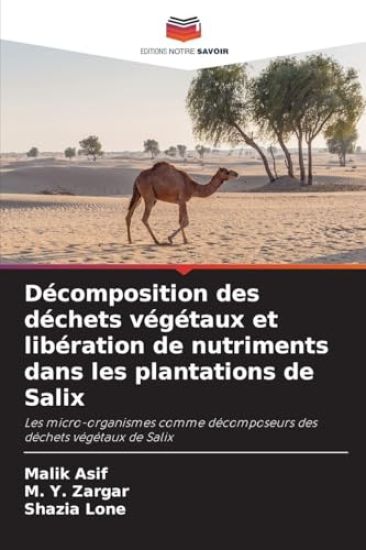 Décomposition des déchets végétaux et libération de nutriments dans les plantations de Salix