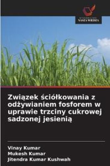 Zwiazek sciólkowania z odzywianiem fosforem w uprawie trzciny cukrowej sadzonej jesienia