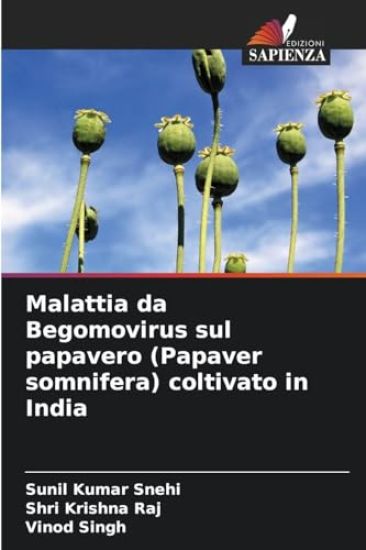 Malattia da Begomovirus sul papavero (Papaver somnifera) coltivato in India
