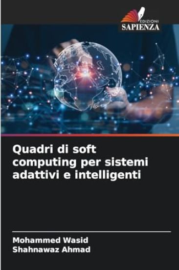 Quadri di soft computing per sistemi adattivi e intelligenti