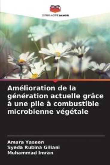 Amélioration de la génération actuelle grâce à une pile à combustible microbienne végétale