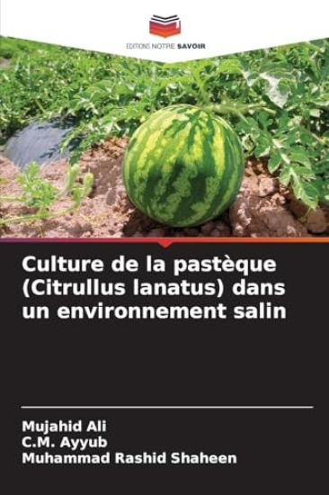 Culture de la pastèque (Citrullus lanatus) dans un environnement salin