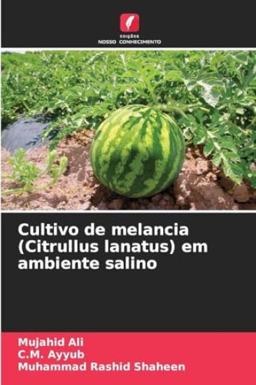 Cultivo de melancia (Citrullus lanatus) em ambiente salino