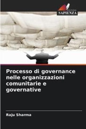 Processo di governance nelle organizzazioni comunitarie e governative