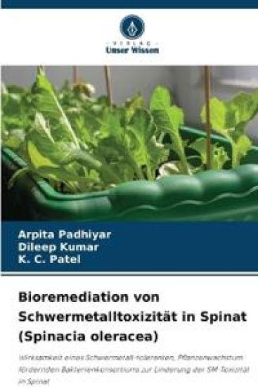 Bioremediation von Schwermetalltoxizität in Spinat (Spinacia oleracea)