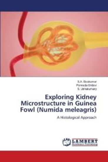 Exploring Kidney Microstructure in Guinea Fowl (Numida meleagris)