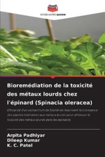 Bioremédiation de la toxicité des métaux lourds chez l'épinard (Spinacia oleracea)