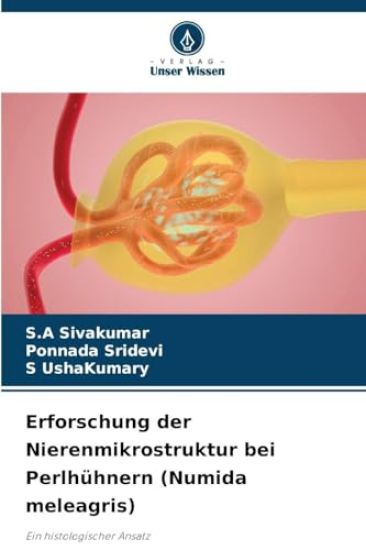 Erforschung der Nierenmikrostruktur bei Perlhühnern (Numida meleagris)