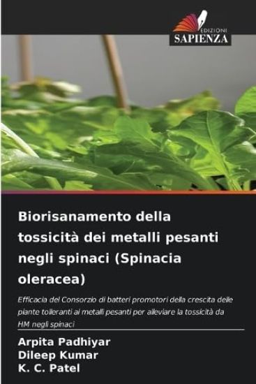 Biorisanamento della tossicità dei metalli pesanti negli spinaci (Spinacia oleracea)