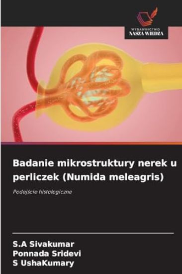 Badanie mikrostruktury nerek u perliczek (Numida meleagris)