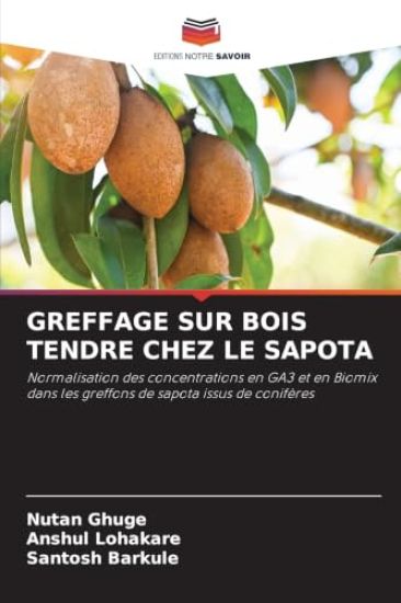 Greffage Sur Bois Tendre Chez Le Sapota