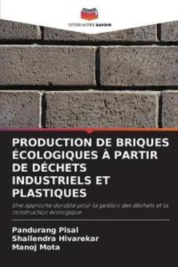 Production de Briques Écologiques À Partir de Déchets Industriels Et Plastiques