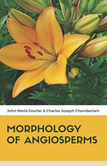 Morphology of Angiosperms