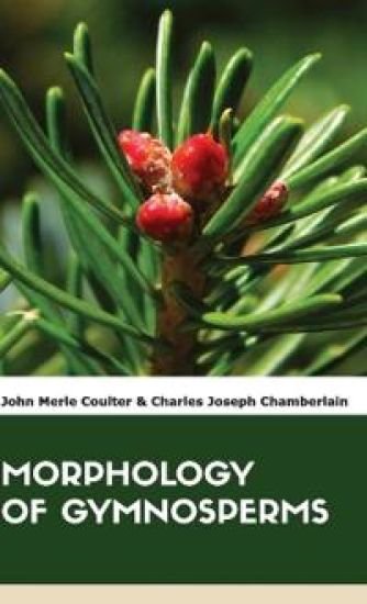 Morphology of Gymnosperms