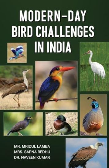 Modern-Day Bird Challenges in India