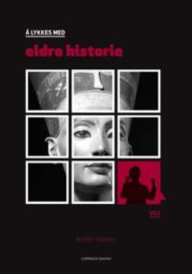 Å lykkes med eldre historie; vg2