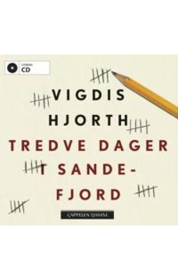 Tredve dager i Sandefjord