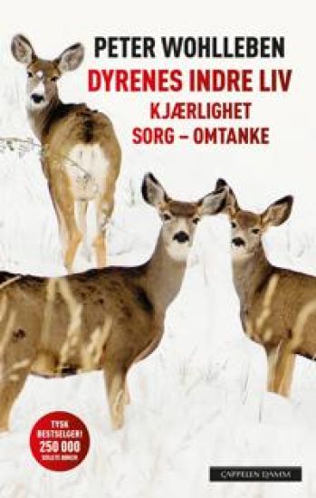 Dyrenes indre liv; kjærlighet, sorg, omtanke