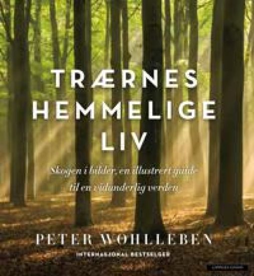 Trærnes hemmelige liv; skogen i bilder