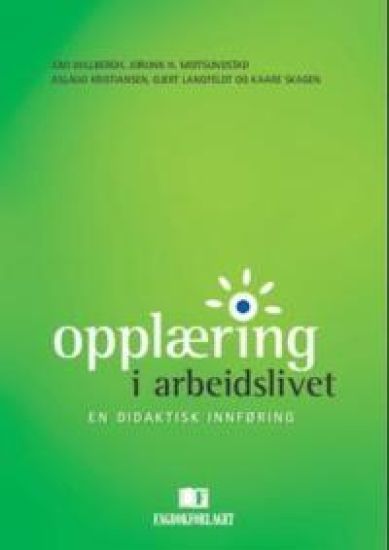Opplæring i arbeidslivet