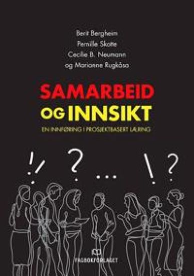 Samarbeid og innsikt